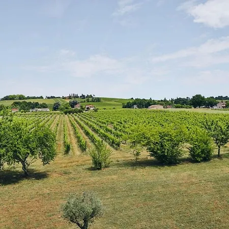 Lejlighed Domaine Grand Piquecaillou - Cadillac *